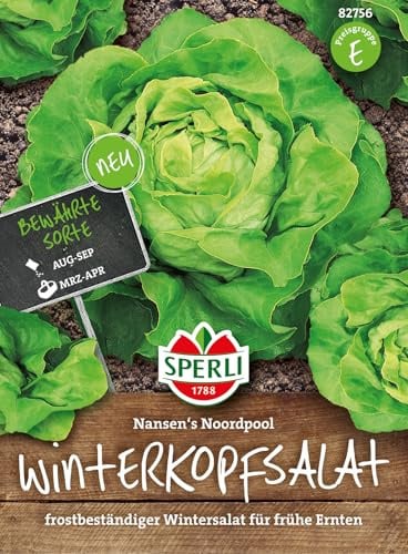Sperli Nansen's Noordpool Wintersalat Samen Winterhart | Bewährte Sorte | Wintergemüse Saatgut | Frühjahr u. Herbst | Wintergemüse Samen | Salat Samen