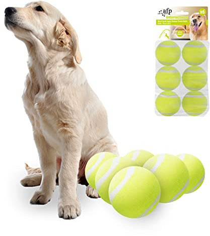 ALL FOR PAWS Hundetennisbälle Premium Qualität, Ballwurfmaschine Hund, Kong Ball, Hunde Ballwurfmaschine, Super Bouncy und Durable Gummibälle für Hunde - 6-Pack Maxi Ball Launcher Tennisball