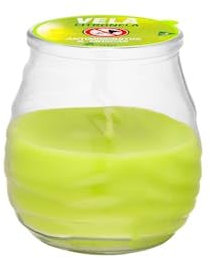 Citronella-Kerze gegen Mücken und Fliegen, Waldgrün, Glas, 1 Stück, 2 Stück