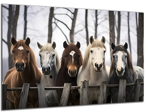 Munera Design - Bild 40x60 - Pferd Pferde-Bilder 5 Pferde am Gatter - Wand-Bilder Wohnzimmer