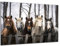 Munera Design - Bild 40x60 - Pferd Pferde-Bilder 5 Pferde am Gatter - Wand-Bilder Wohnzimmer