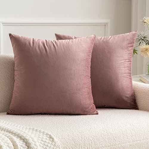 MIULEE 2er Pack Samt Kissenbezug Kissenhülle Dekorative Kissenbezug Dekokissen Sofakissen Lendenkissen Wurfkissenbezug Kissenhülle 45x45 cm Marmelade