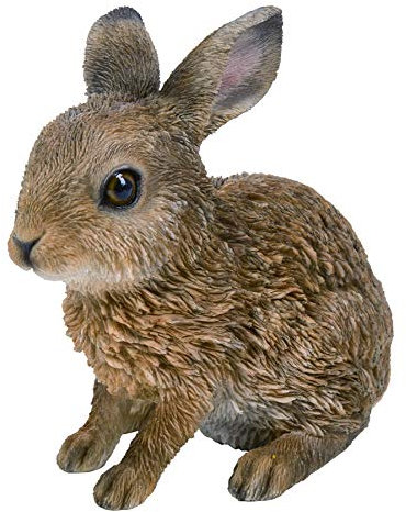Vivid Arts - Woodland Sitting Leveret Home or Garden Decoration (XRL-LEVE-E)