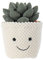 Apricot Lamb Soft Succulent Plant Plush Toy, Stuffed Green Pot, Kawaii Plushie for Kids, 8