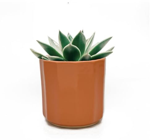 Perilla Home Maceta individual de cerámica hecha a mano para interiores y exteriores con agujero de drenaje para decoración del hogar y la oficina, maceta moderna de 5 x 5 pulgadas (naranja)