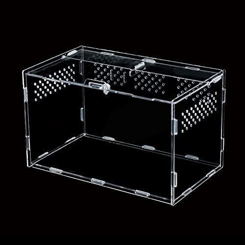Fulenyi Reptil Fütterungsbox Acrylic Reptilienzuchtbox 30 × 20 × 15 cm Terrarium Transportbox Behälter Reptilienzuchtkoffer Kunststoff Reptil Zuchtfall für Spide Skorpion Tausendfüßler