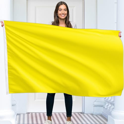 Drapeau jaune uni - Drapeau jaune uni - Impression recto verso - Polyester 90 g - Double couture - 2 œillets en laiton - Grand 90 x 150 cm (5 x 3 pieds)