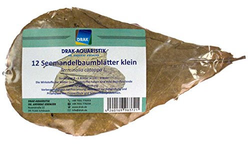DRAK-Aquaristik, Seemandelbaumblätter (12 Stück Nano)