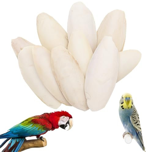 10 Stück 8-11 cm Sepiaschalen, Sepiaschalen für Schildkröten, handgemachte Tintenfischschalen geeignet zur Kalziumversorgung für Vögel, Schildkröten und Reptilien als Haustiere.