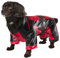 Rubie's Offizielles Deadpool Dogpool Haustierkostüm, Hunde-/Haustierkostüm, Größe S
