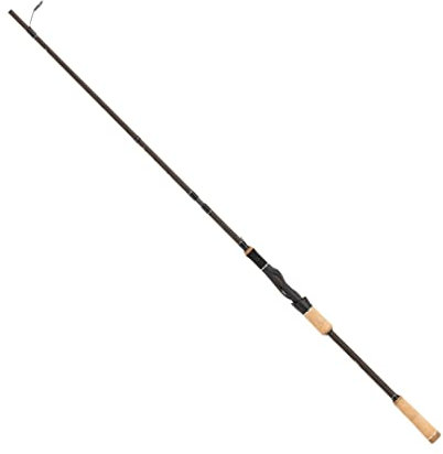 Abu Garcia Diplomat X Spinnrute - Angelrute (100M 10-30g 5pc Spin)