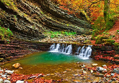 wandmotiv24 Fototapete Kleiner Wasserfall in der Kaparten Berge, 200 x 140cm - selbstklebende Vliestapete 150g, Wanddeko, Wandbild, Wandtapete, Wald, Wasser, Bach M0695