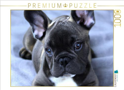 CALVENDO Puzzle Französische Bulldogge | 1000 Teile Lege-Größe 64 x 48 cm Foto-Puzzle für glückliche Stunden