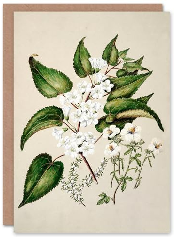 Artery8 Sarah Featon Art Card Hibiscus and Saltmarsh Ribbonwood Flowers