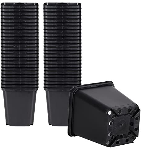 Pullmer Macetas de cultivo de 9 x 9,5 cm, 50 unidades, macetas cuadradas para siembra, para plántulas o esquejes, de plástico, ideal para invernadero o jardín de casa (50,9 x 9 cm)