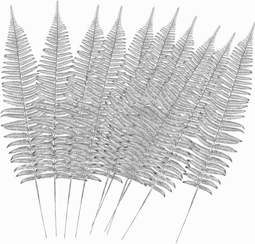CATTREE Artificial Silver Plants Tall Fern Leaves 23 10 Pack, Fake Boston Ferns Plant Decorations Plastic Faux Foliage Shrubs Large Leaf for Party Wedding Table Centerpiece Bouquet DIY Silvery Décor
