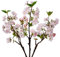 Briful 3er Set Kunstblumen Wie Echt Frühling Dekoblume Rosa Pfirsichblüte Frühlingsblumen Künstliche Zweige 46CM Kurze Stiele für Blumengesteck Home Dekoration