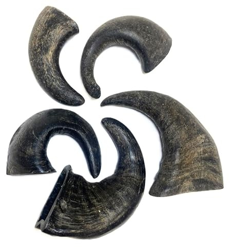 Maltbys' Stores 10x Small Buffalo Horns 100% Natural Dog Treats Chews [LODC]