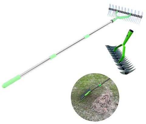 Rastrello per Paglia, Rastrello per Erba Largo 12,8 Pollici per la Pulizia Dell'Erba Morta, Rastrello per Erba Metallico in Acciaio Efficiente con Manico, Rastrello per Terreno