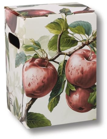 AGRI plus Karton für Bag-in-Box Beutel I 5 Liter I 20 Stück I Ohne Beutel I Hochwertige Karton-Box mit Rote-Äpfel-Motiv I Bis zu 40 x wiederverwendbar I Bag-in-Box für Apfelsaft, Saft & Wein