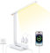 LAOPAO Desk Lamp with USB Charging Port: Power Strip with Surge Protection - 1 Type-C, 1 USB-A Charging Port, 2 AC Power Outlets, Desk Lamps for Home Office College Dorm Room Essentials