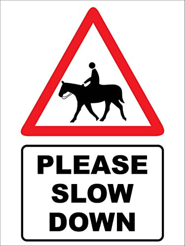 Blechschild mit Aufschrift Horse Please Slow Down, 20,3 x 30,5 cm, Vorsicht Gefahr Sicherheit Sicherheit Warnhinweise Schilder