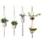 Makramee Blumenampel, Baumwollseil Hängeampel, Blumenampeln Aufhängen, Pflanzen Halter Aufhänger, Hängepflanzen Topf, Hanfseil (Blumentopf Nicht Im Lieferumfang Enthalten)