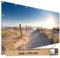 TRIOSK Große Motivplane Sichtschutz Zaunblende mit Motiv Dünenweg Strand Meer Motivbanner Garten Deko Plane Blickdicht für Zaun Terrasse Gartenzaun Zaunplane PVC 340x173 cm