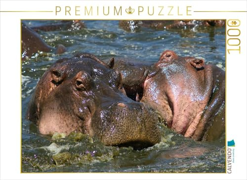 CALVENDO Puzzle Flusspferde – Revierkampf | 1000 Teile Lege-Größe 64 x 48 cm Foto-Puzzle für glückliche Stunden