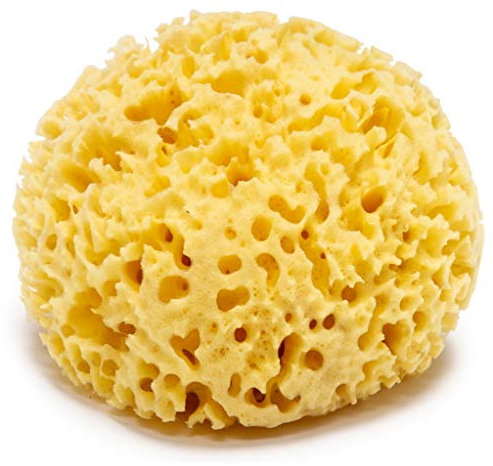 Naturschwamm Groß 13 cm Premiumqualität Grass Haltbar Großporig 100% Natur & Organisch Badeschwamm aus dem Mittelmeer Seeschwamm