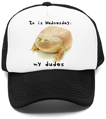 It is Wednesday My Dudes Kinder Kappe Baseball Rapper Cap