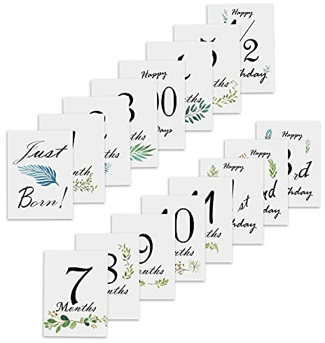 Set de 16 Tarjetas Mensuales de Hitos para Bebé - Regalo de Baby Shower Unisex para Niño o Niña, Recuerdos Fotográficos para Celebraciones de Nacimiento y Aniversario (689)