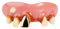 Maskworld - Golden Hillbilly - Fun Zähne - Künstliches Gebiss - Verkleidung Accessoire für Karneval, Halloween & Motto-Party