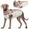Kuoser Winter Hundejacke für mittelgroße Hunde – Wasserdichter & Winddichter Hundemantel mit Fleecefutter, Reißverschluss, D-Ring & Reflektoren – Warme Outdoor Hundebekleidung für Herbst & Winter, L