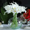 NatureMan 10 Stück künstliche Calla-Lilien, 34 cm, künstliche Latexblumen, Hochzeitsstrauß, Tafelaufsatz, Dekoration für Zuhause, Hochzeit, Party, Dekoration (weiß-gelber Kern)