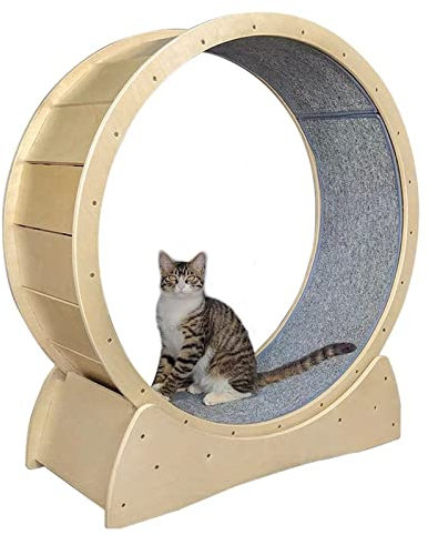 DIIDIIFF Katzenrad, Katzenrad-Trainingsgerät für Katzen im Innenbereich, Laufband für Alles, was mit Laufen, Spinnen, Kratzen, Klettern zu tun hat, 91 cm