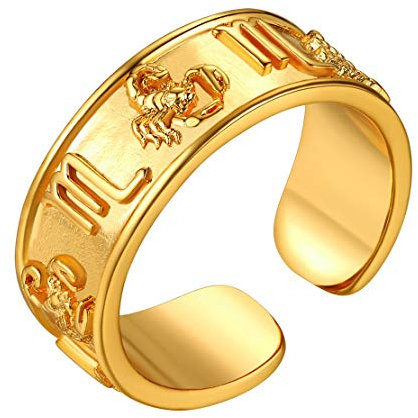 FindChic goldener Herren Damen Fingerring Bandring Retro Sternzeichen Scorpion Ring Offener verstellbarer Ring für Weihnachten Geburtstag