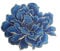 Sourcemall Pfingstrosen-Blumenaufnäher, bestickte Blumenapplikationen für DIY-Kleidung, Jacken, Jeans, Rucksäcke, Hüte, Kunsthandwerk, Nähen, Basteln (dunkelblaue Pfingstrose)