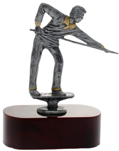 Hole Gadget Premiazioni Personalizzate Sportive Coppe e Trofei Figurativi per Tutti Gli Sport con Targhetta Personalizzata Premio Riconoscimento per Eventi Specifici (Biliardo)