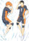 Xingbiyou Anime Seitenschläfer Kissenbezug,Haikyuu!! Cosplay Atmungsaktiver Kissenbezug Pfirsichhaut Velour mit Reißverschluss (D, 50X150cm)