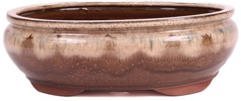 Bonsai - Schale oval 30.5 x 24.5 x 10.5 cm beige/braun 40134