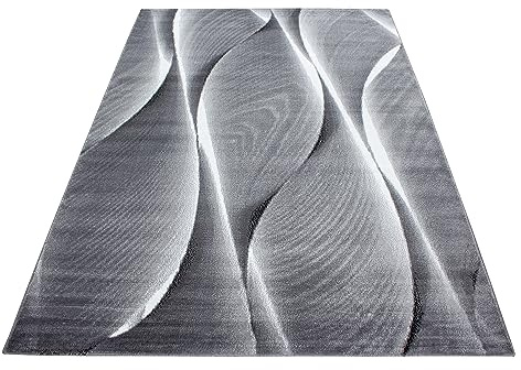 KADIMA DESIGN Kurzflorteppich Ombre Farbverlauf Pflegeleicht Waschbar Strapazierfähig Schwarz 80x150 cm Wohnzimmer Schlafzimmer Fußbodenheizung geeignet Schadstoffgeprüft Flur Oeko-TEX | DRAU