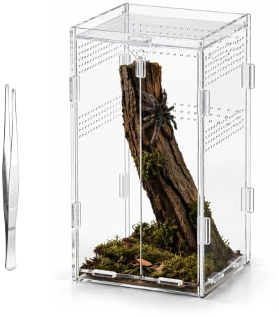 SCBOY Terrario Reptiles acrílico con Pinzas 12×12×20 cm terrario Caracoles para Reptiles y Anfibios arañas lagartos escarabajos Ranas e Insectos etc