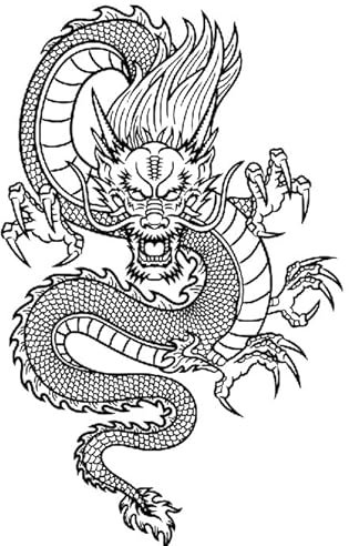2 feuilles de tatouage temporaire dragon faux tatouage bras tatouage TBS8381x2
