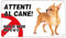 NEW CARTELLO SEGNALETICO - Attenti al cane chihuahua, NON SI VEDE MA C'è - Adesivo Extra Resistente, Pannello in Forex, Pannello In Alluminio (ADESIVO 20X31 CM)