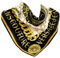 Versace Jeans Couture Seiden-Tuch, Foulard, Barock Logo, Schwarz-Gold-Weiß