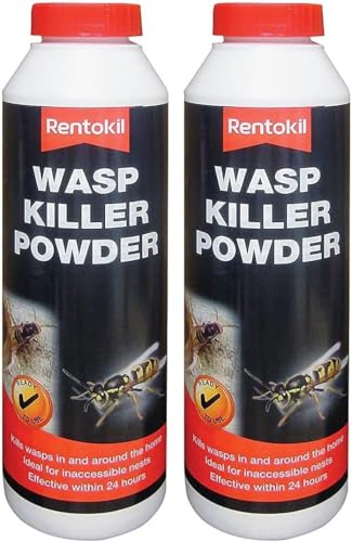 Wasp Nest Killer Powder & Nest Decoy – Fast-Acting Insecticide for Hornet and Wasp Control – Pack of 2 × 300g