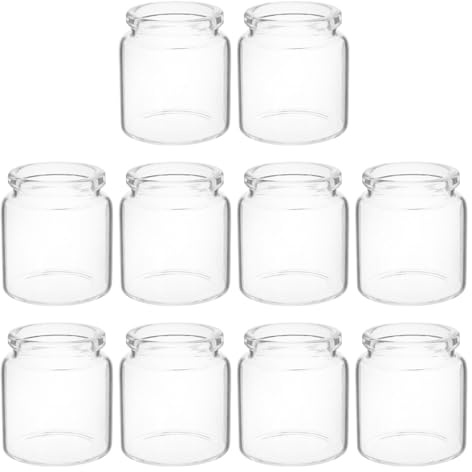 Generisch Kleiner Reagenzglas Vase Aus Glas Mikrolandschaft Terrarium Gefäß 10 Stück Kleiner Pflanzenhalter Für Moos Sukkulenten Anzucht Schreibtisch Und Regal
