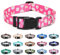 Suredoo Collier pour Chien, Motif Tendance avec Boucle à dégagement Rapide, Collier Classique en Nylon Réglable pour Petits, Moyens et Grands Chiens (M, Rose Marguerite)