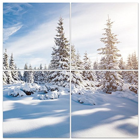 DekoGlas Glasbild 'Weiße Fichten' Acrylglas Bild Küche, Wandbild Flur Bilder Wohnzimmer Wanddeko, mehrteilig 4 x 50x50 cm